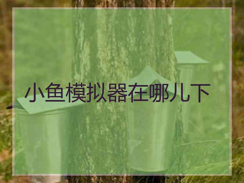 小鱼模拟器在哪儿下