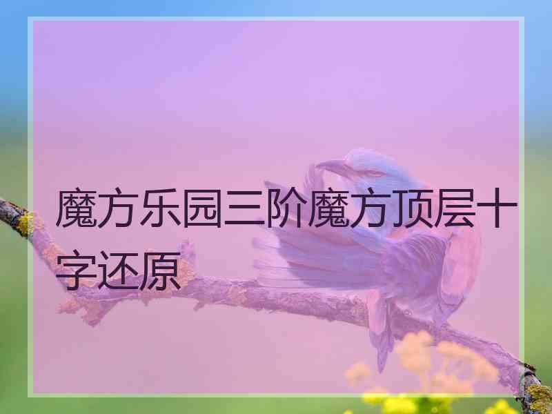 魔方乐园三阶魔方顶层十字还原