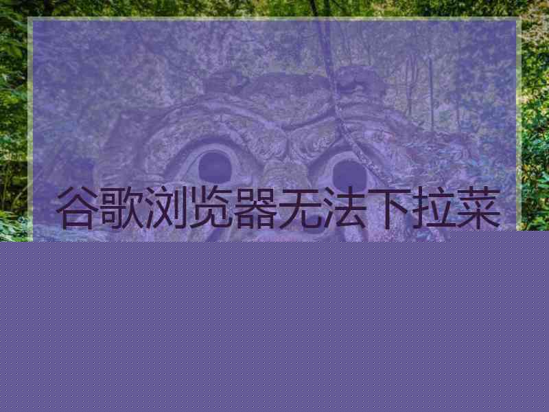 谷歌浏览器无法下拉菜单