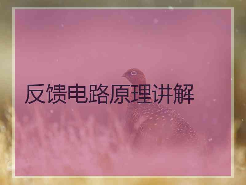 反馈电路原理讲解