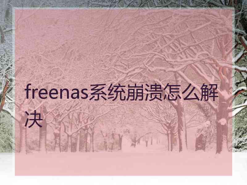 freenas系统崩溃怎么解决