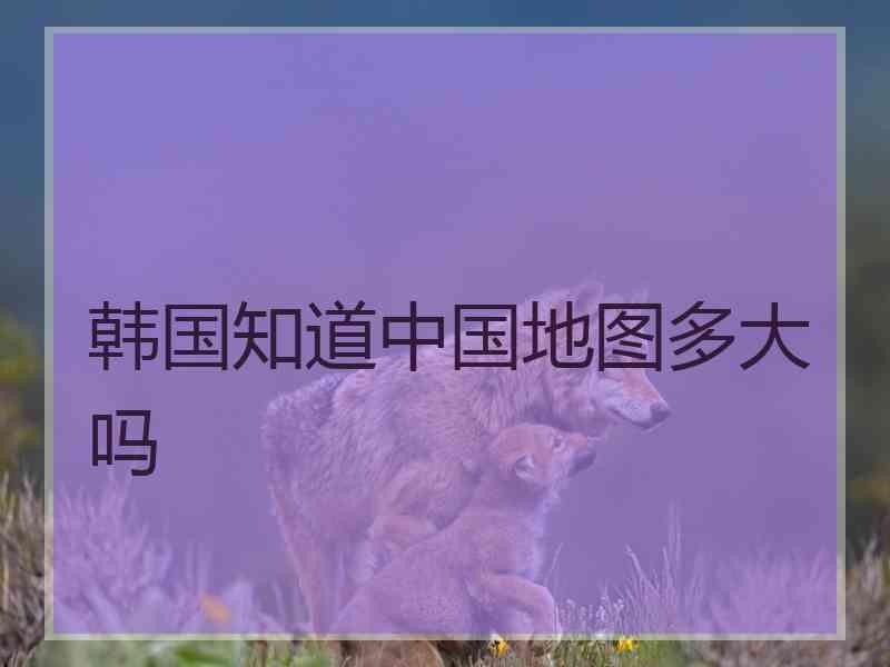 韩国知道中国地图多大吗