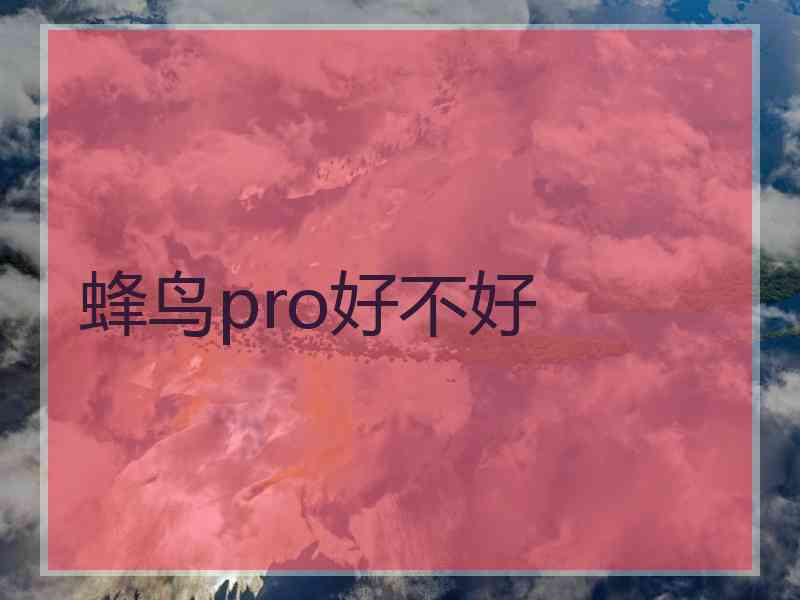 蜂鸟pro好不好