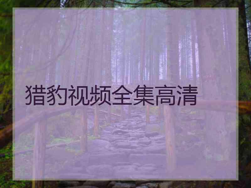 猎豹视频全集高清