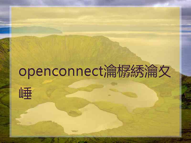openconnect瀹樼綉瀹夊崜