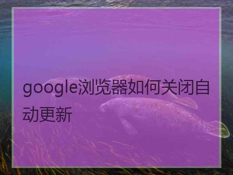 google浏览器如何关闭自动更新