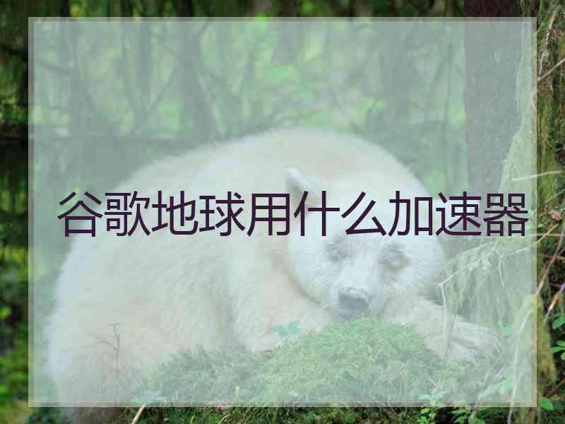 谷歌地球用什么加速器