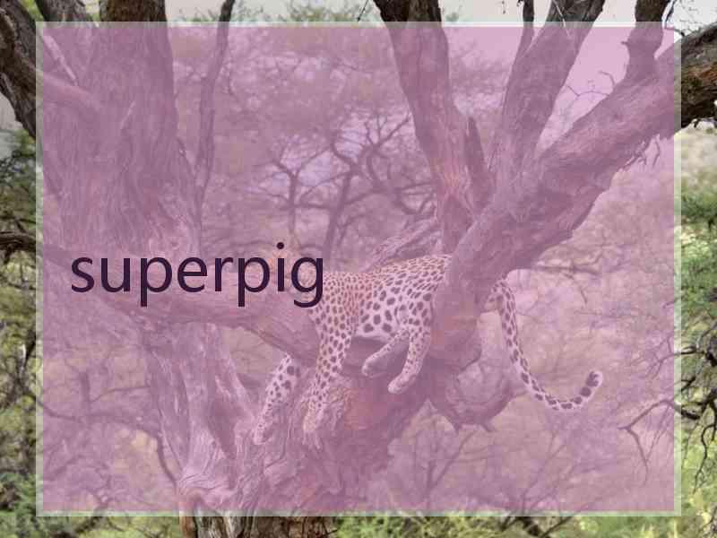 superpig