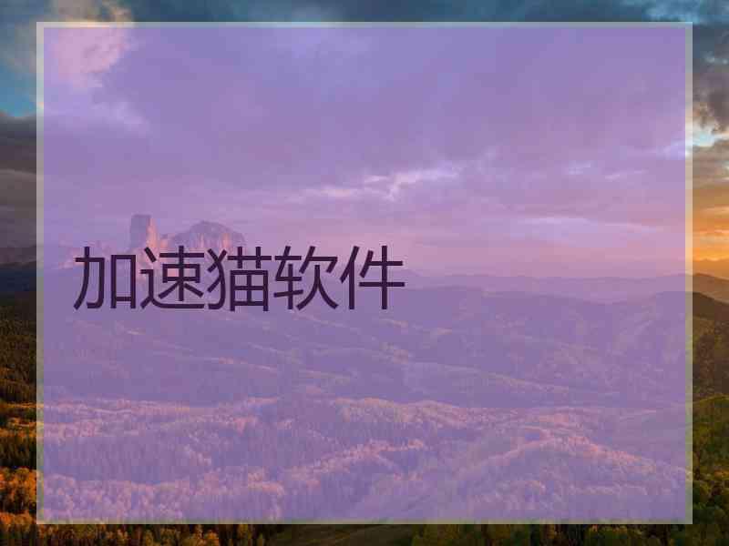 加速猫软件