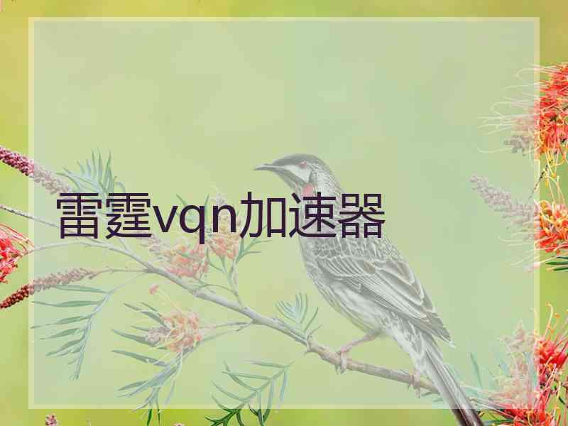 雷霆vqn加速器