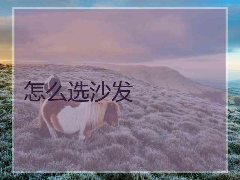 怎么选沙发
