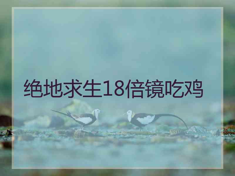 绝地求生18倍镜吃鸡