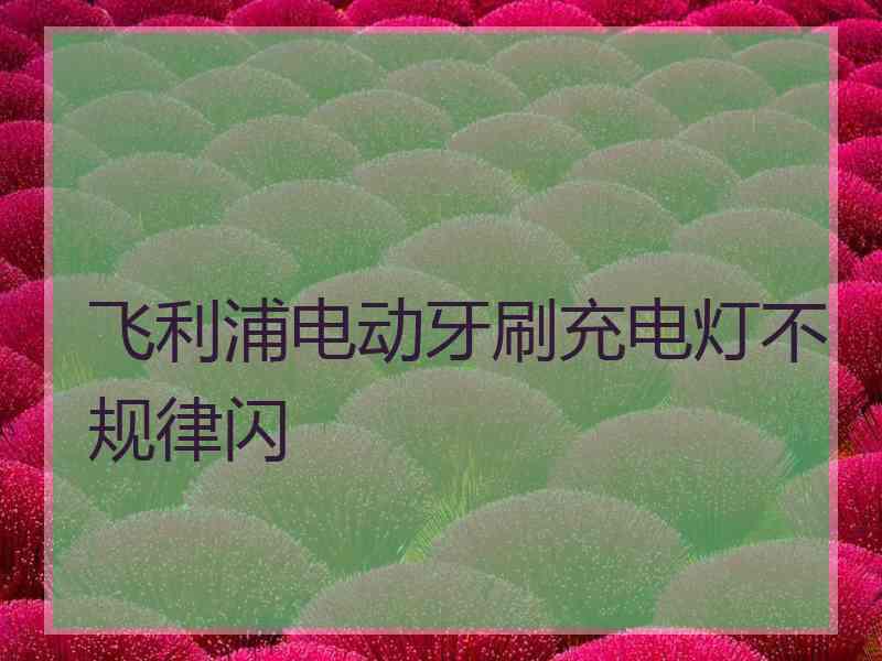 飞利浦电动牙刷充电灯不规律闪