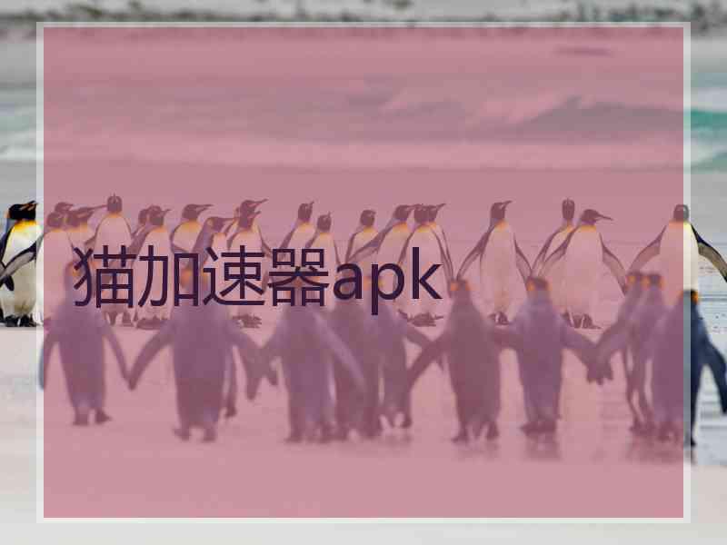 猫加速器apk