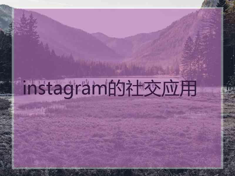 instagram的社交应用