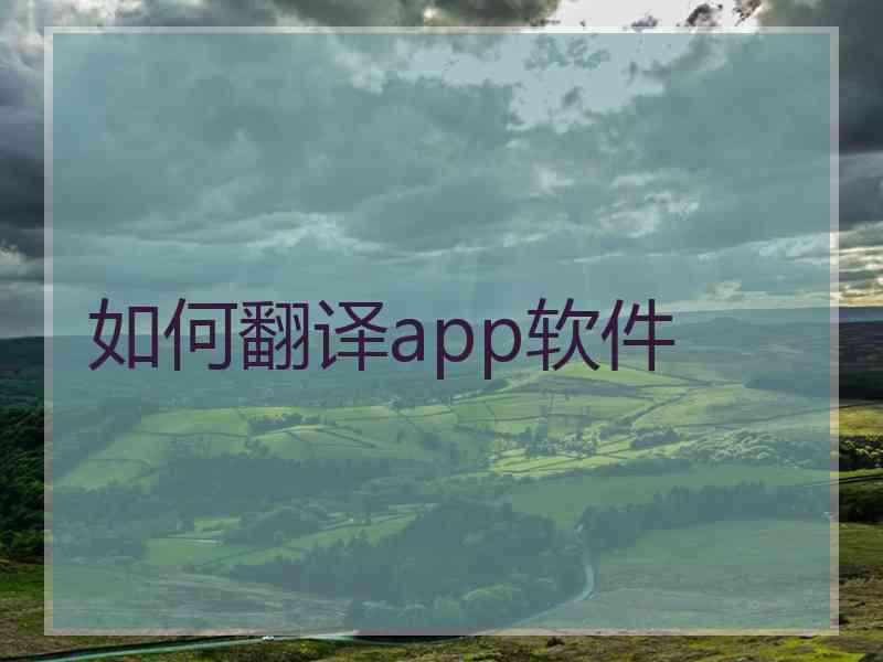 如何翻译app软件