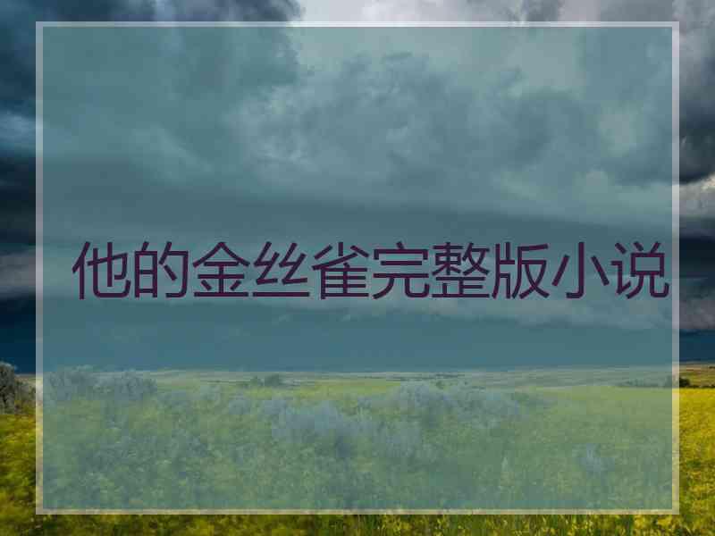 他的金丝雀完整版小说