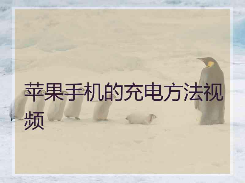 苹果手机的充电方法视频