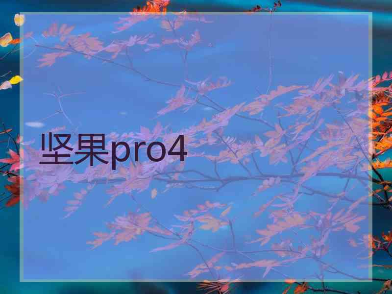 坚果pro4