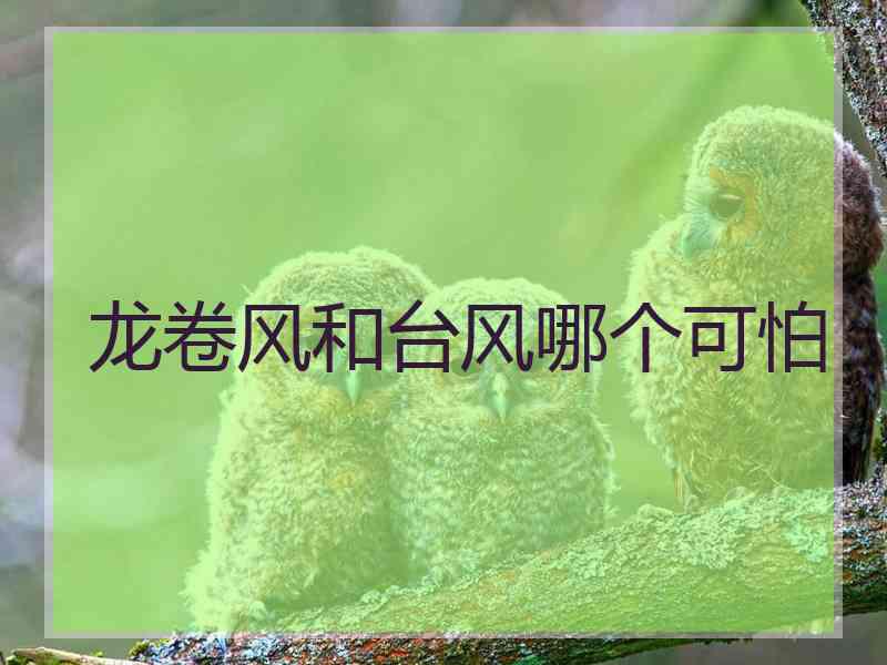 龙卷风和台风哪个可怕