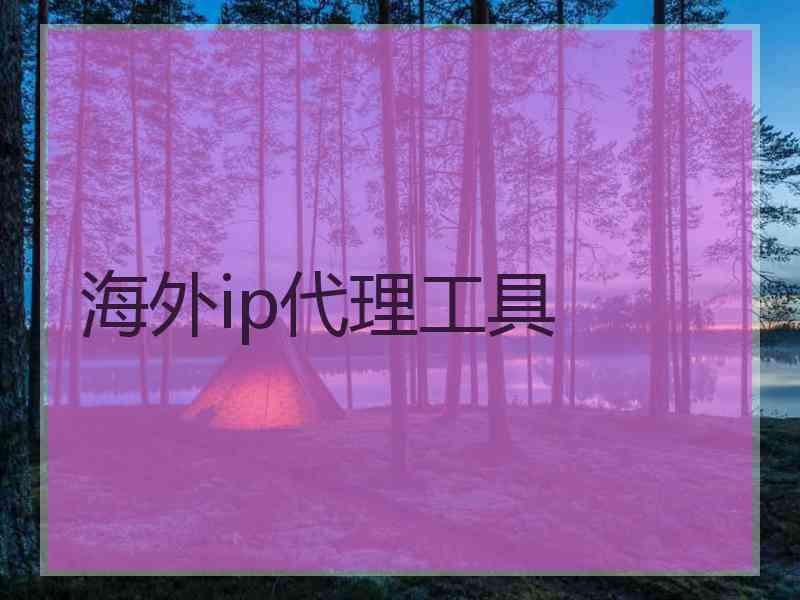 海外ip代理工具
