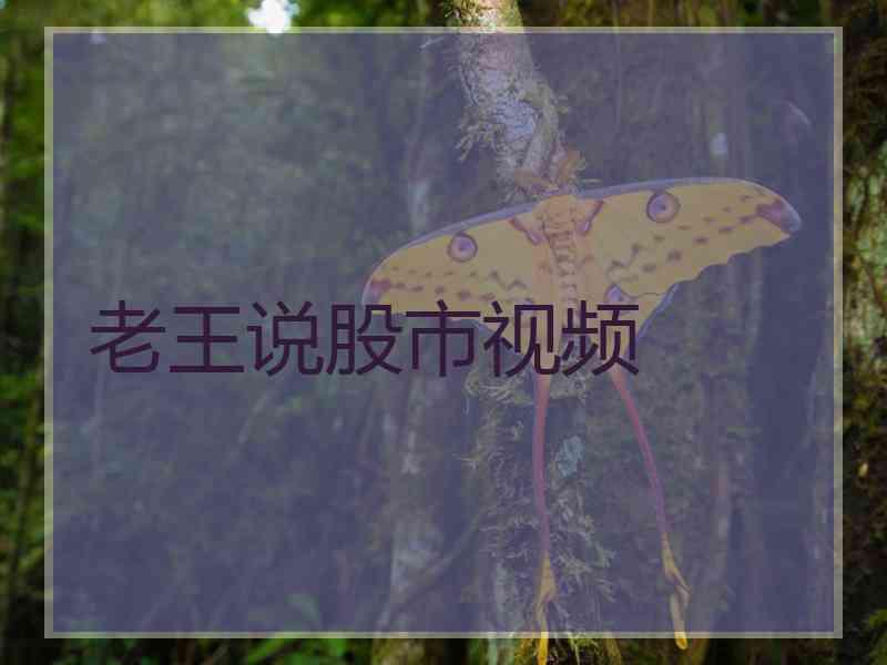 老王说股市视频