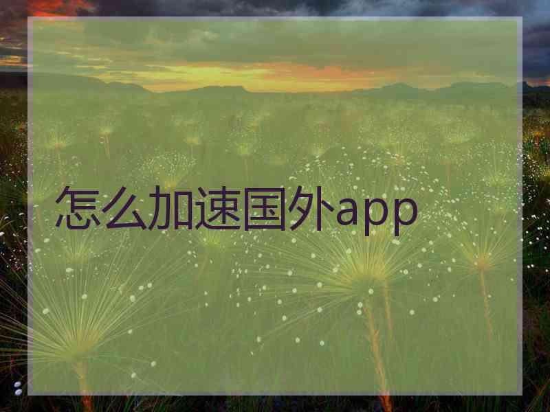 怎么加速国外app
