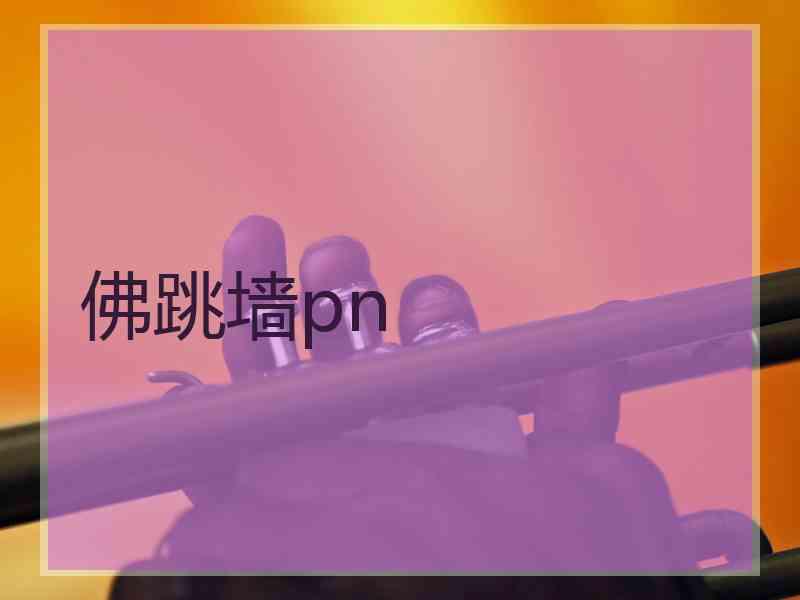 佛跳墙pn