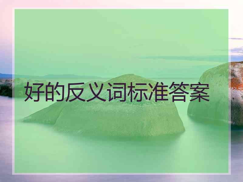 好的反义词标准答案