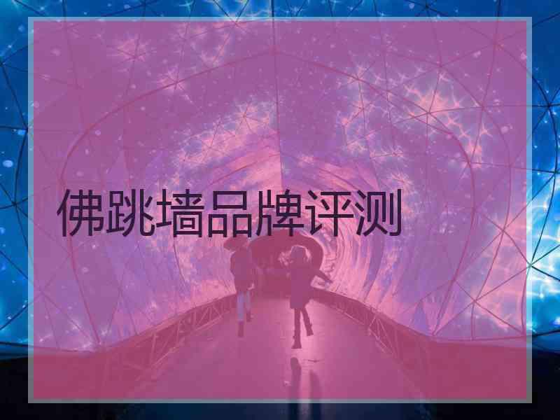 佛跳墙品牌评测