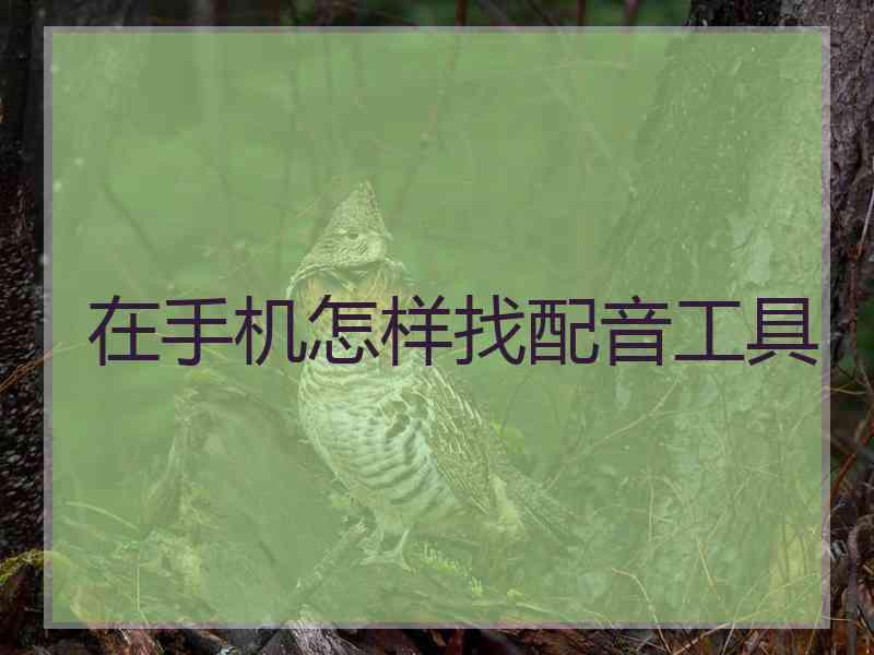 在手机怎样找配音工具
