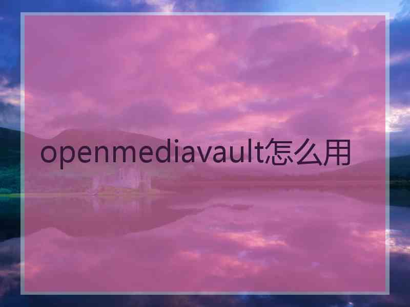 openmediavault怎么用