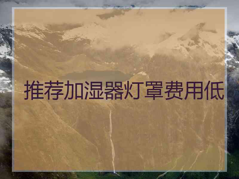 推荐加湿器灯罩费用低