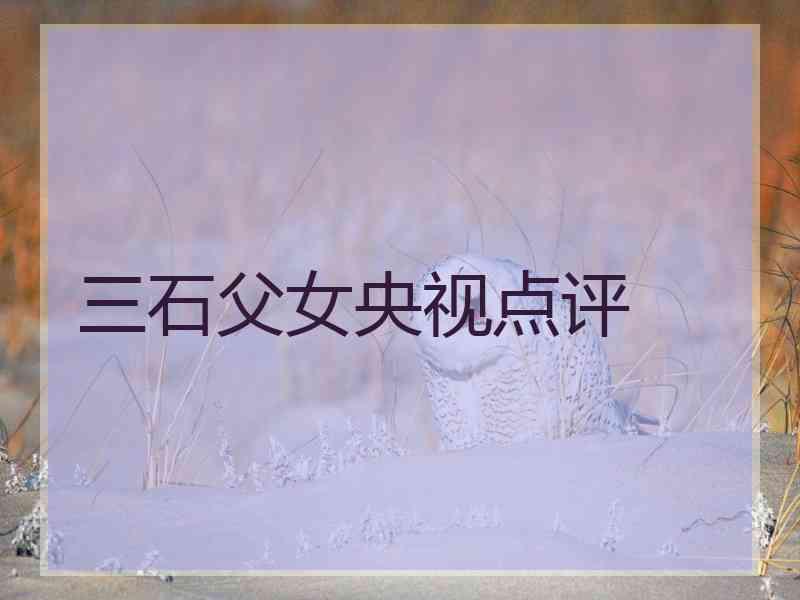三石父女央视点评