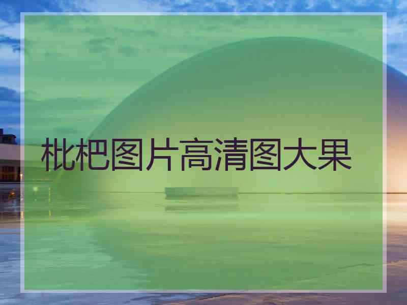 枇杷图片高清图大果