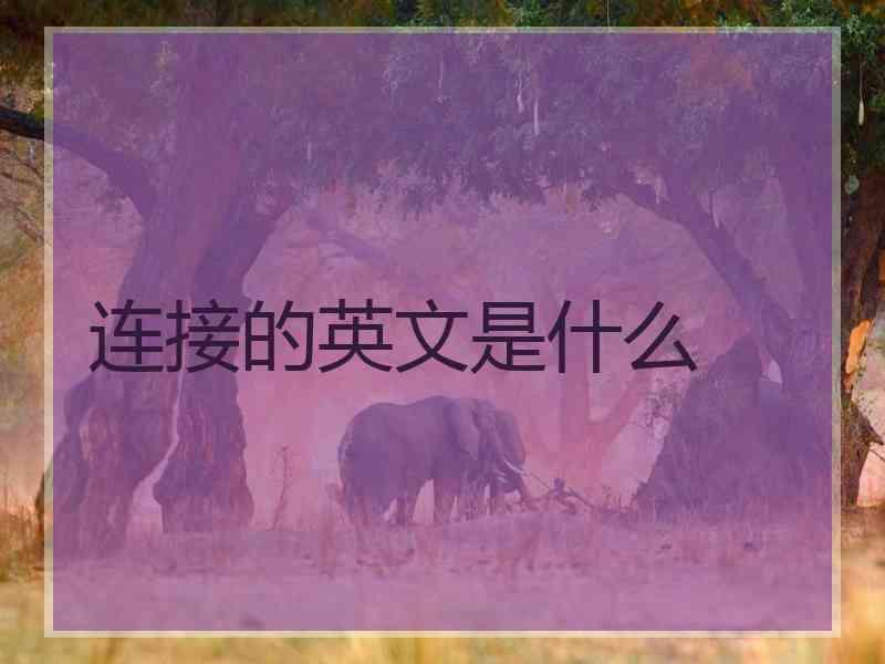 连接的英文是什么