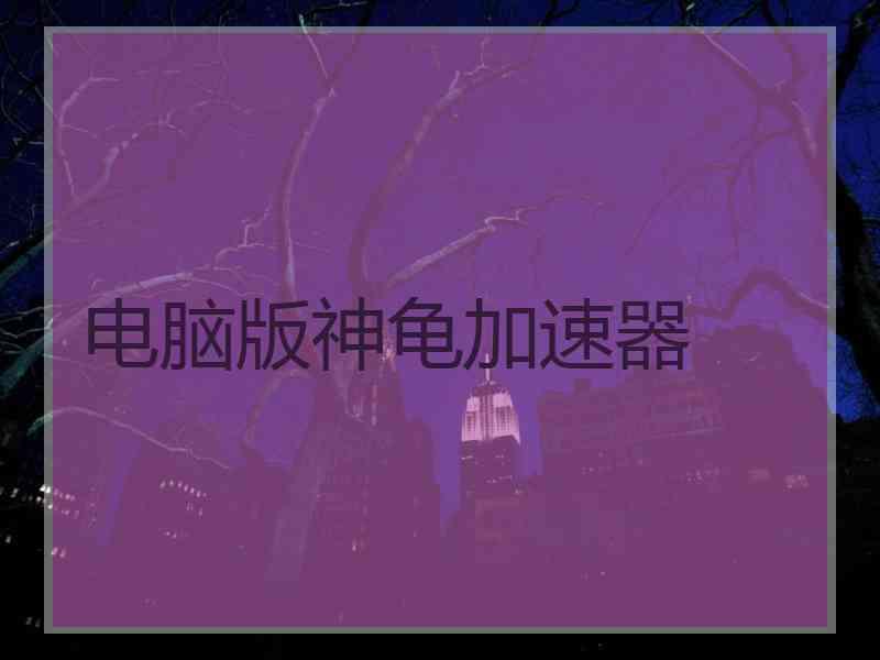 电脑版神龟加速器