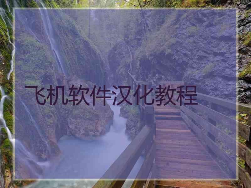 飞机软件汉化教程