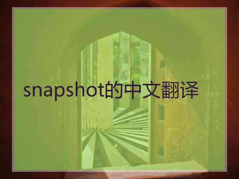 snapshot的中文翻译