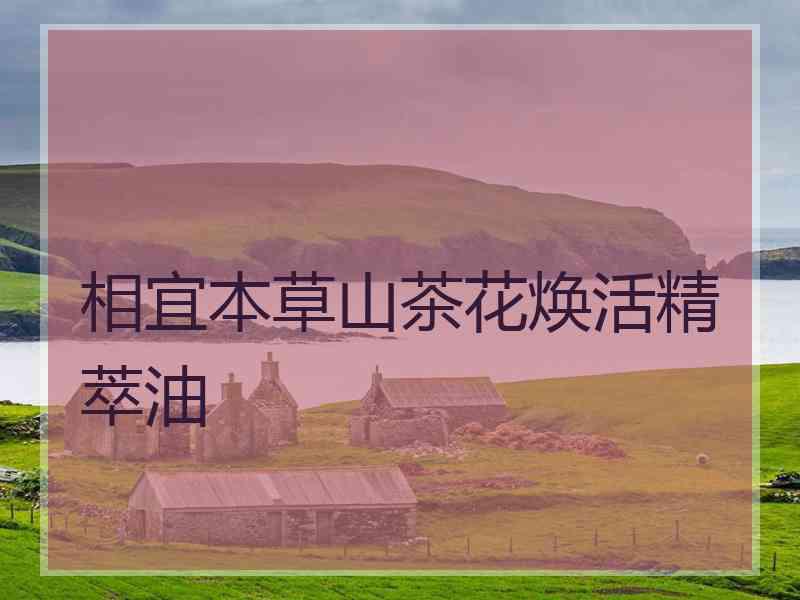 相宜本草山茶花焕活精萃油