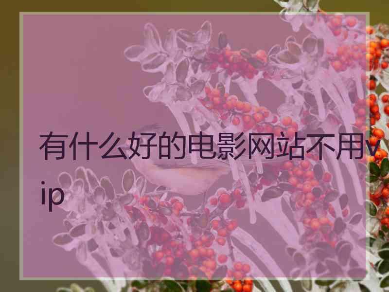 有什么好的电影网站不用vip