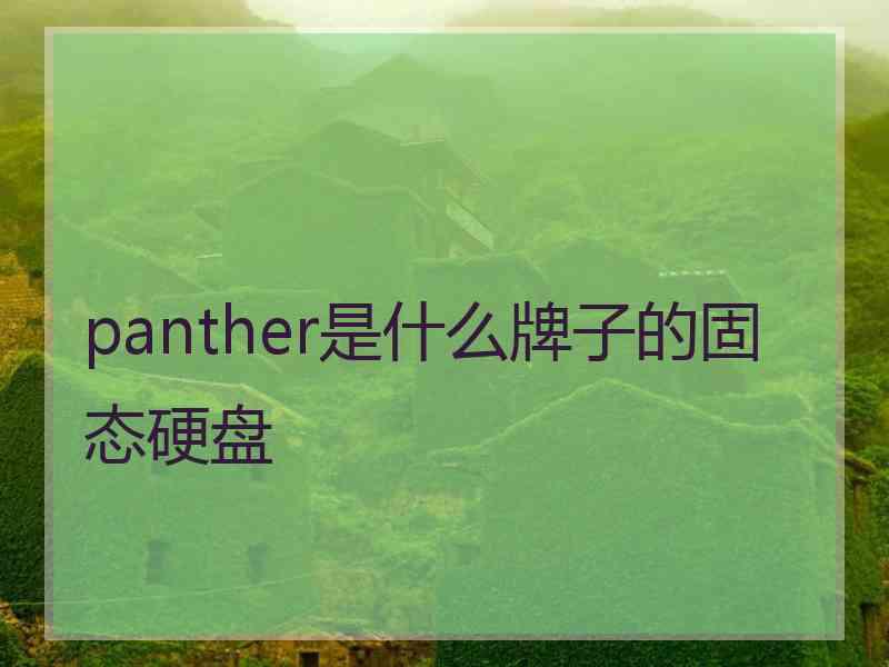 panther是什么牌子的固态硬盘