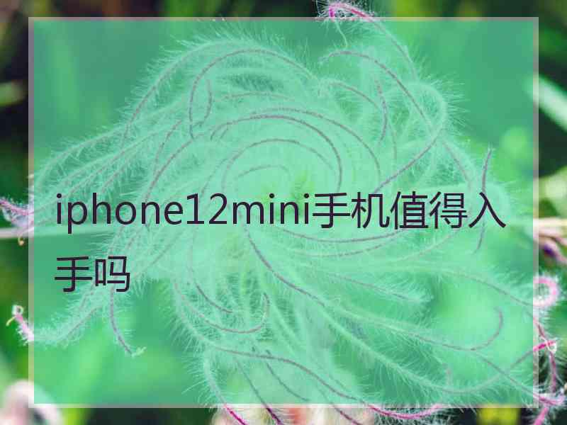 iphone12mini手机值得入手吗