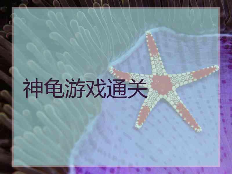 神龟游戏通关