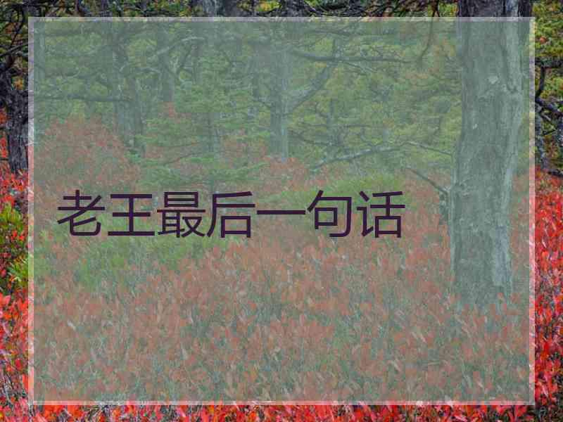 老王最后一句话