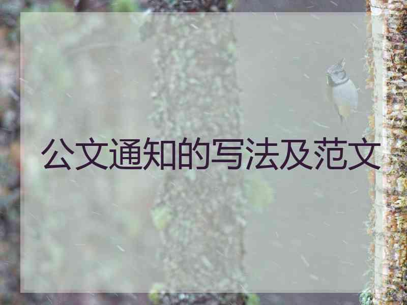 公文通知的写法及范文