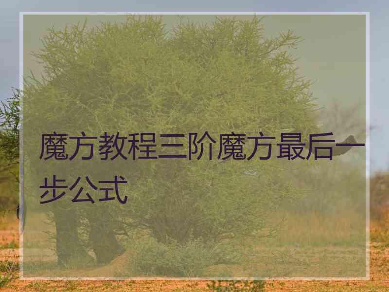 魔方教程三阶魔方最后一步公式