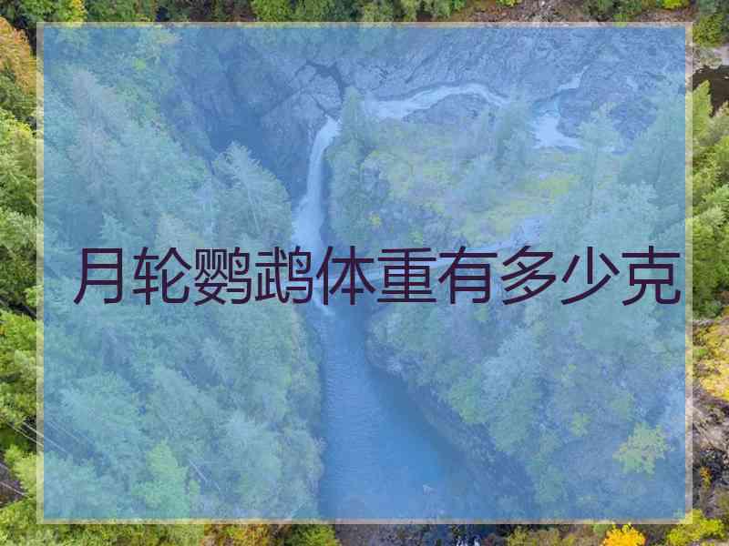 月轮鹦鹉体重有多少克