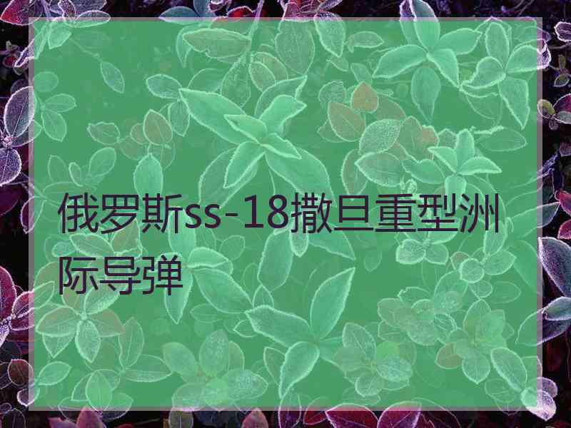 俄罗斯ss-18撒旦重型洲际导弹