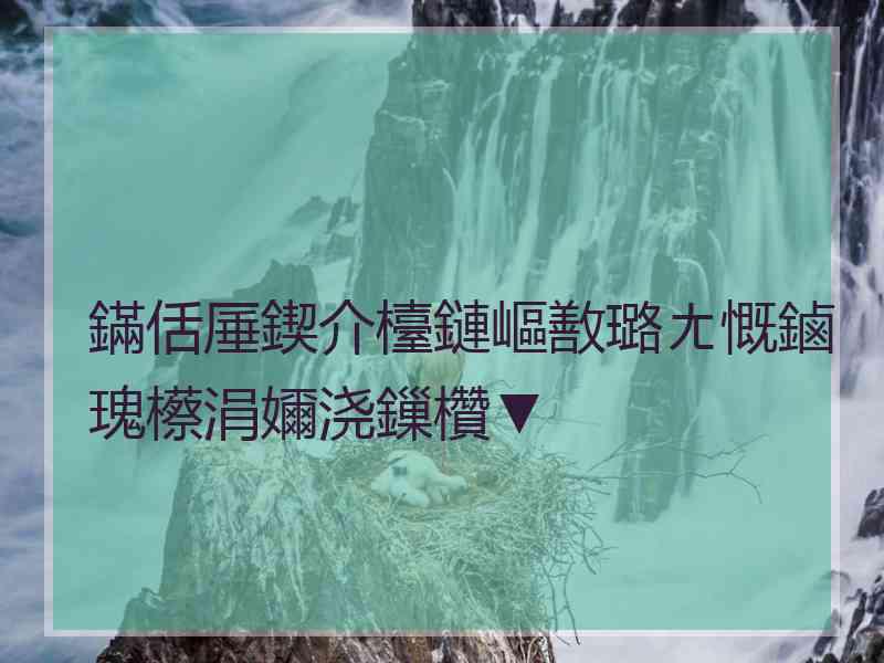 鏋佸厜鍥介檯鏈嶇敾璐ㄤ慨鏀瑰櫒涓嬭浇鏁欑▼